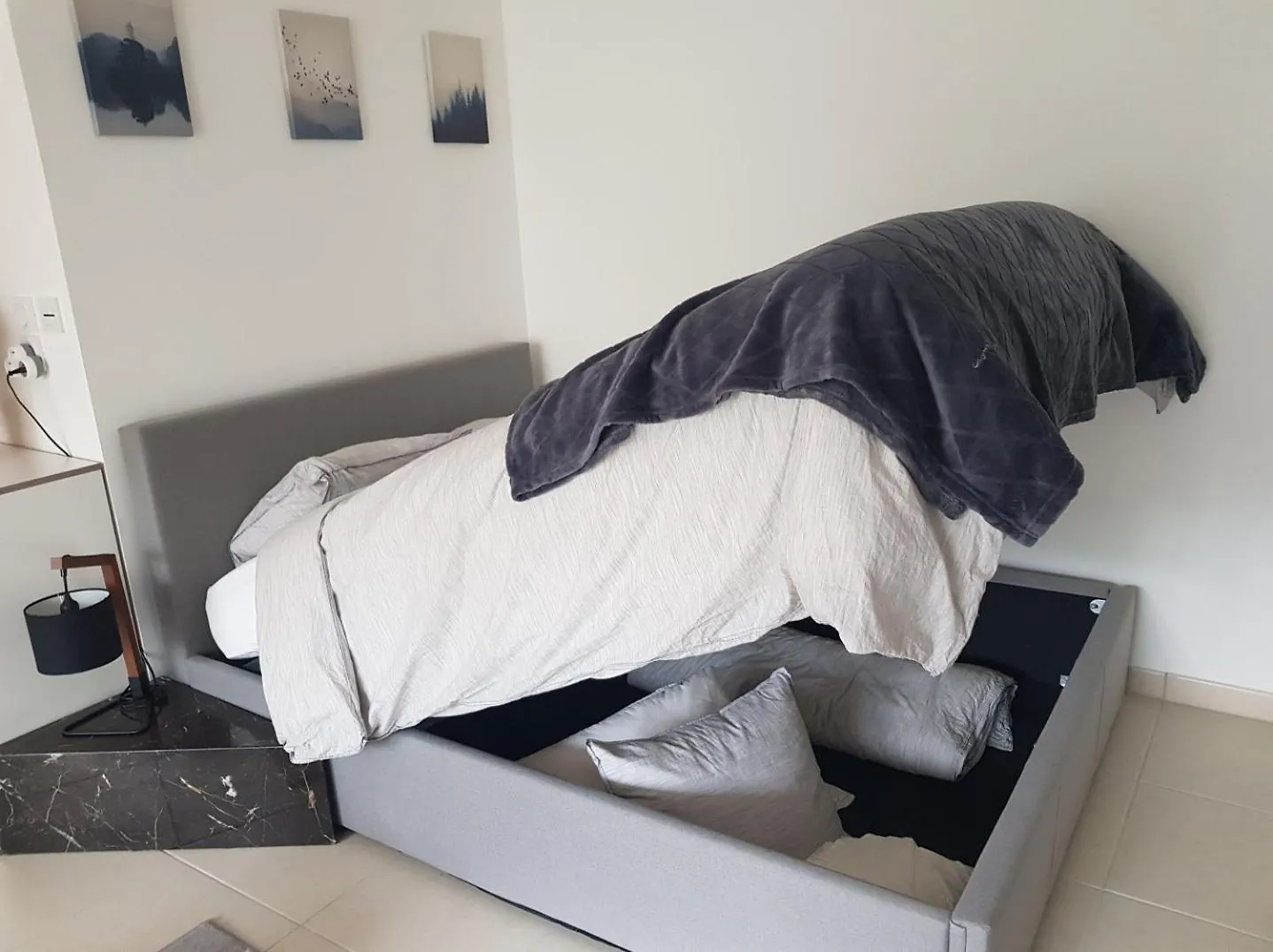 Apartment Cosy New Studio Close To Airport, Un, Palexpo ! Ferney-Voltaire